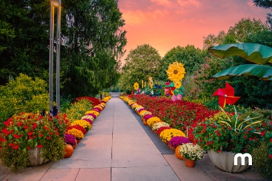 Saiba mais sobre o melhor itinerário de 3 dias em Atlanta aqui