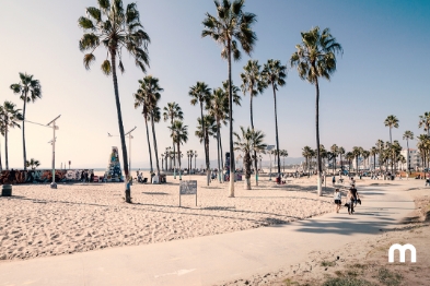 Best things to do near Los Angeles International Airport Discover the top spots near Los Angeles Airport