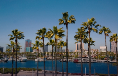 Avis car rental in Long Beach Rent a car in Long Beach