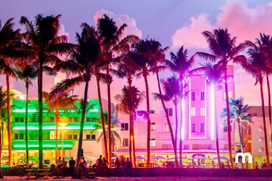 The best plans to hang out with friends in Miami Group activities in Miami