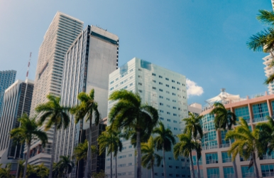 Alquiler de coches cerca a Downtown Miami Renta de vehículos en Downtown Miami