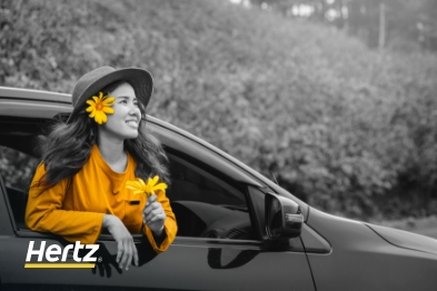 Alugar um carro nas filiais da Hertz em Miami Alugue um carro barato nos escritórios da Hertz, Miami