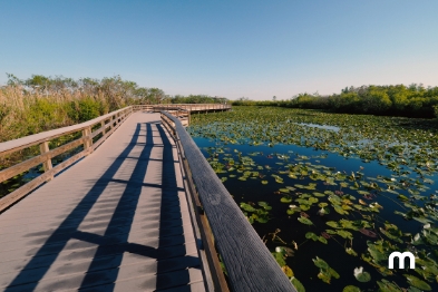 Qué cosas hacer en Fort Lauderdale  Planes para hacer en Fort Lauderdale