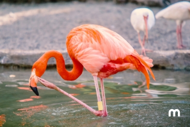 Lugares para conocer en Fort Lauderdale en 3 días  Qué hacer en Fort Lauderdale 3 días
