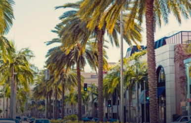 Rent a car at the best price in the market in Beverly Hills The best rental cars in Beverly Hills