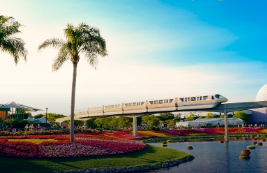 Great car rental deals in Universal Orlando Resort Unmissable discounts on car rentals in Universal Studios, Orlando