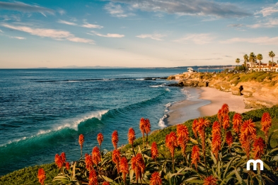 Explore and enjoy the best beaches in San Diego  Beautiful beaches in San Diego, California