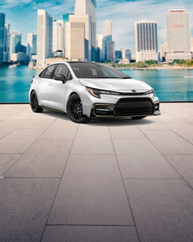 Rent an economy car with Miles Car Rental Rent a compact car with Miles Car Rental