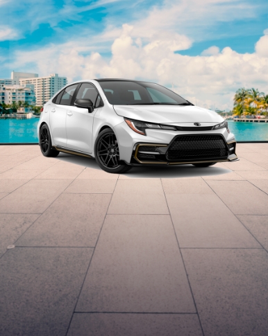 Economy Cars in Kissimmee Economy Cars in Kissimmee