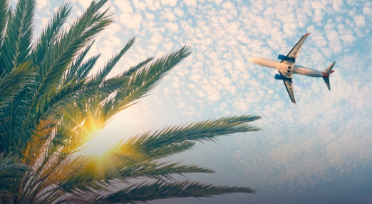 Alquiler de vans o minivas en el aeropuerto de Fort Lauderdale